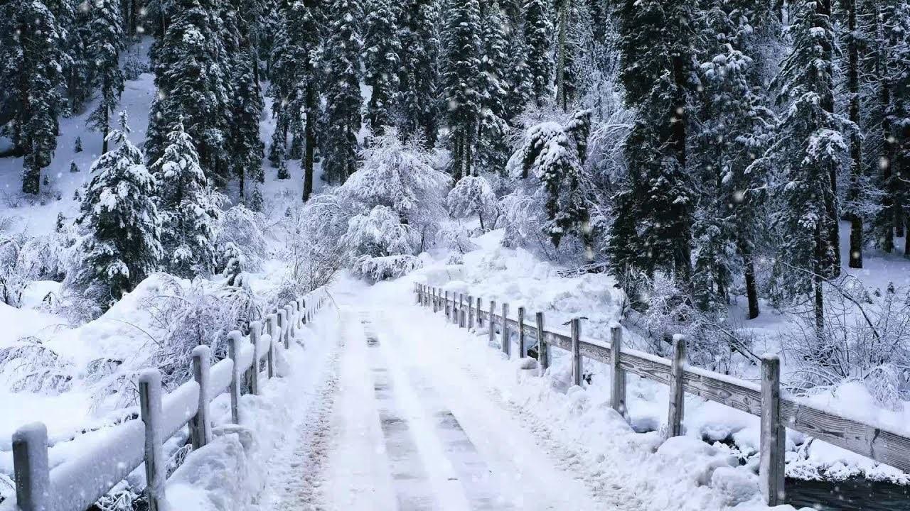 Murree